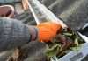 Gutter Cleaning Broadstone County Dublin
