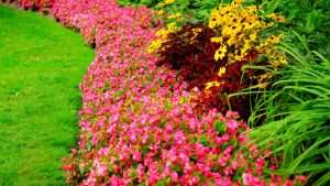 Landscaping Ashtown County Dublin
