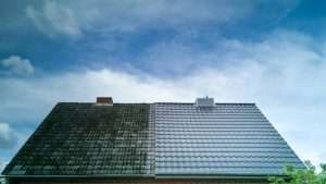 Roofclean1